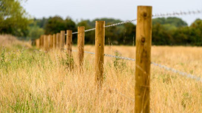intelligente-landwirtschaft-voltsmartone-pflanzenschutz